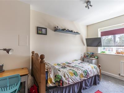 Picture 15